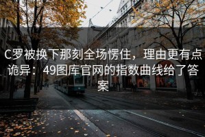 C罗被换下那刻全场愣住，理由更有点诡异：49图库官网的指数曲线给了答案