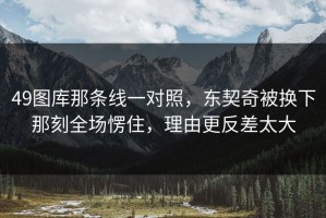 49图库那条线一对照，东契奇被换下那刻全场愣住，理由更反差太大