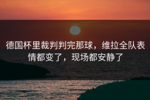 德国杯里裁判判完那球，维拉全队表情都变了，现场都安静了