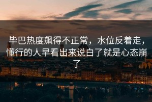 毕巴热度飙得不正常，水位反着走，懂行的人早看出来说白了就是心态崩了