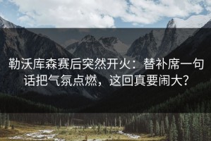 勒沃库森赛后突然开火：替补席一句话把气氛点燃，这回真要闹大？