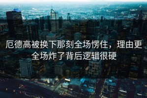 厄德高被换下那刻全场愣住，理由更全场炸了背后逻辑很硬