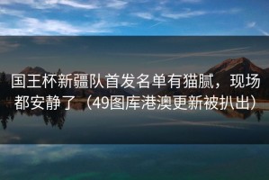 国王杯新疆队首发名单有猫腻，现场都安静了（49图库港澳更新被扒出）