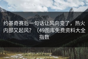 约基奇赛后一句话让风向变了，热火内部又起风？（49图库免费资料大全指数